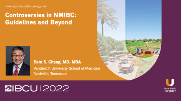 Controversies in NMIBC: Guidelines and Beyond