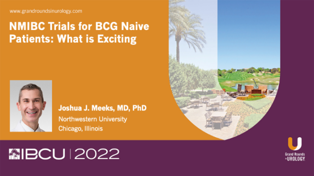 NMIBC Trials for BCG Naive Patients: What is Exciting