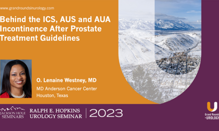 Behind the ICS, AUS and AUA Incontinence After Prostate Treatment Guidelines