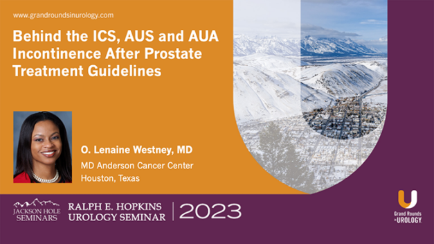 Behind the ICS, AUS and AUA Incontinence After Prostate Treatment Guidelines