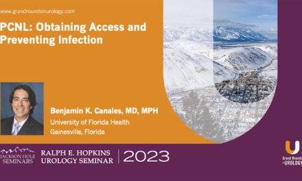 PCNL: Obtaining Access and Preventing Infection