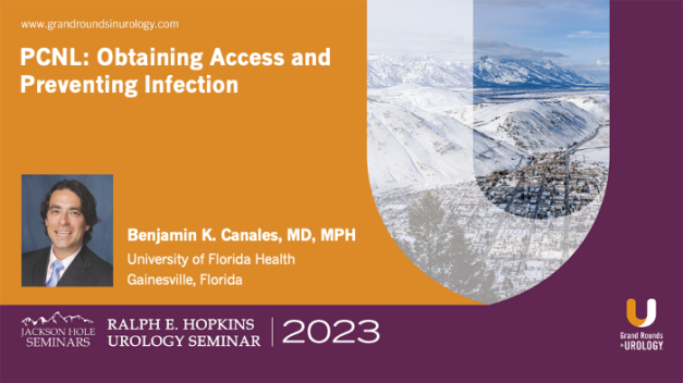 PCNL: Obtaining Access and Preventing Infection
