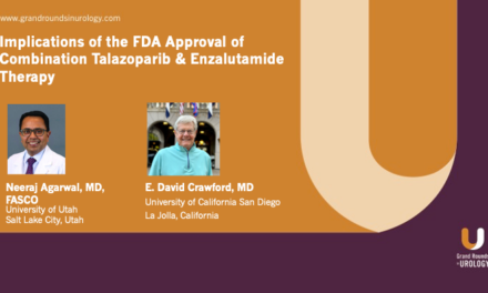 Implications of the FDA Approval of Combination Talazoparib & Enzalutamide Therapy