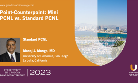 Point-Counterpoint: Mini-PCNL vs. Standard PCNL – Standard PCNL