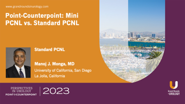 Point-Counterpoint: Mini-PCNL vs. Standard PCNL – Standard PCNL