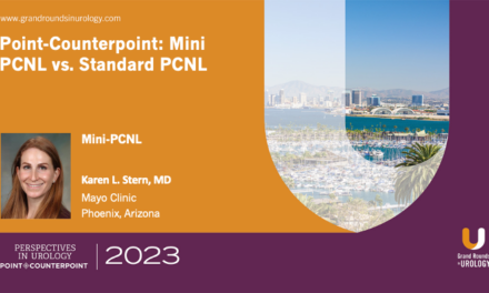 Point-Counterpoint: Mini-PCNL vs. Standard PCNL– Mini-PCNL