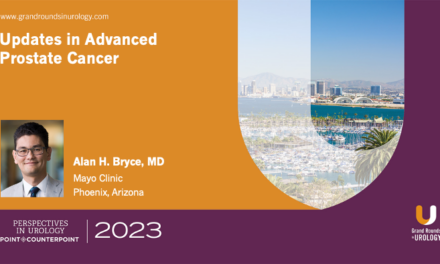 Updates in Advanced Prostate Cancer