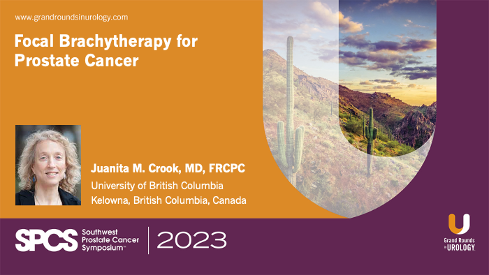 Focal Brachytherapy For Prostate Cancer