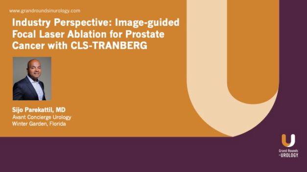 Industry Perspective: Image-Guided Focal Laser Ablation for Prostate Cancer with CLS-TRANBERG