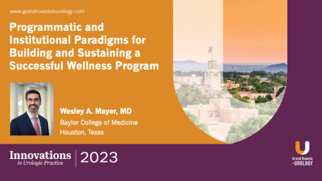 Programmatic and Institutional Paradigms for Building and Sustaining a Successful Wellness Program