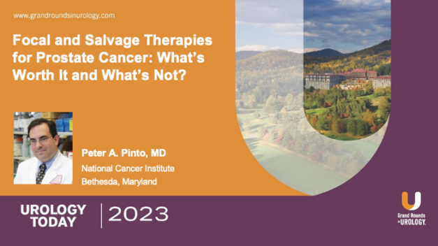 Focal and Salvage Therapies for Prostate Cancer: What’s Worth It and What’s Not?