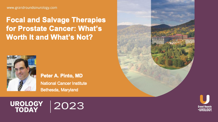 Focal and Salvage Therapies for Prostate Cancer