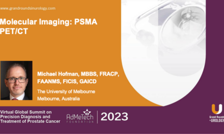 Molecular Imaging: PSMA PET/CT
