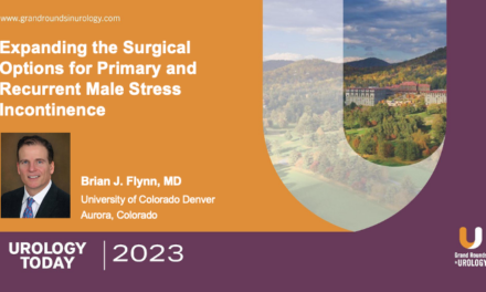 Expanding the Surgical Options for Primary and Recurrent Male Stress Incontinence
