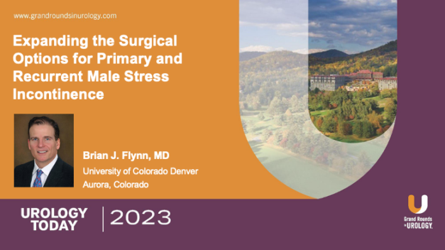 Expanding the Surgical Options for Primary and Recurrent Male Stress Incontinence
