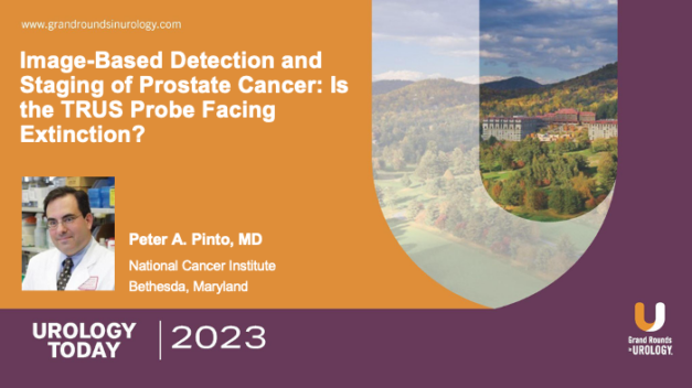 Image-Based Detection and Staging of Prostate Cancer: Is the TRUS Probe Facing Extinction?