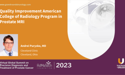 Quality Improvement American College of Radiology Program in Prostate MRI