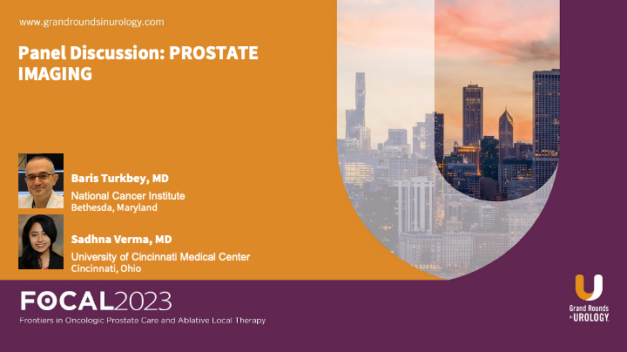 Panel Discussion Part Two: PROSTATE IMAGING