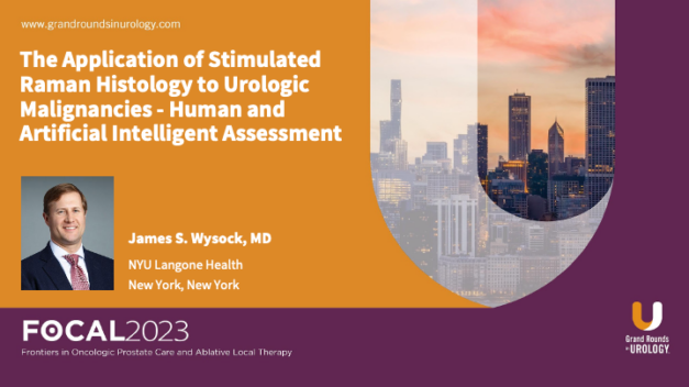 The Application of Stimulated Raman Histology to Urologic Malignancies – Human and Artificial Intelligent Assessment