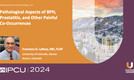 Pathological Aspects of BPH, Prostatitis, and Other Painful Co-Occurrences