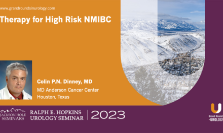 Therapy for High Risk NMIBC