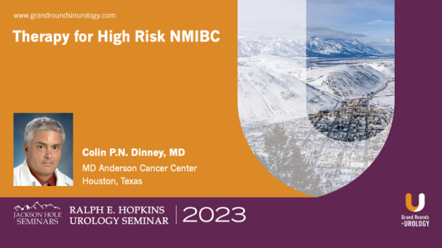 Therapy for High Risk NMIBC