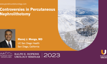 Controversies in Percutaneous Nephrolithotomy