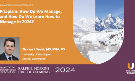 Priapism: How Do We Manage, and How Do We Learn How to Manage in 2024?