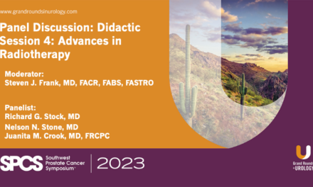 Panel Discussion: Didactic Session 4: Advances in Radiotherapy