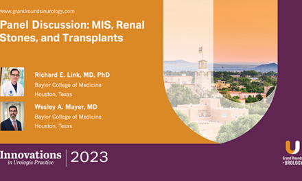 Panel Discussion: MIS, Renal Stones, and Transplants