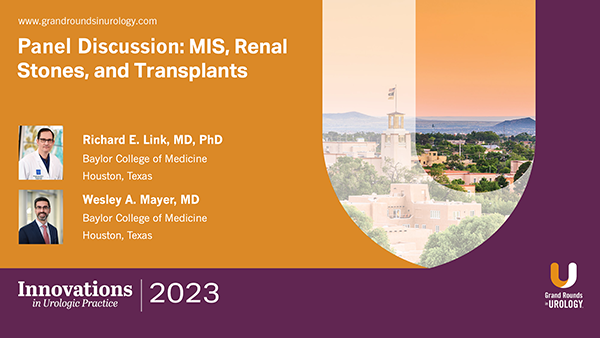 Panel Discussion: MIS, Renal Stones, and Transplants