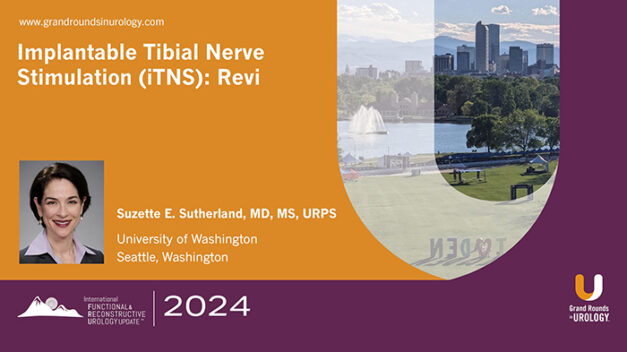 Implantable Tibial Nerve Stimulation (iTNS): Revi