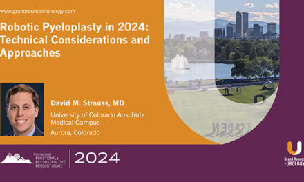 Robotic Pyeloplasty in 2024: Technical Considerations and Approaches