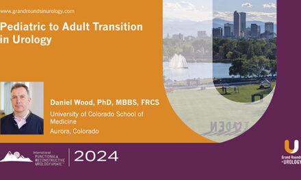 Pediatric to Adult Transition in Urology