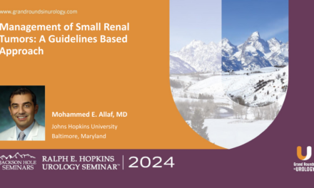 Management of Small Renal Tumors: A Guidelines Based Approach