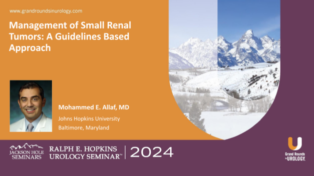 Management of Small Renal Tumors: A Guidelines Based Approach