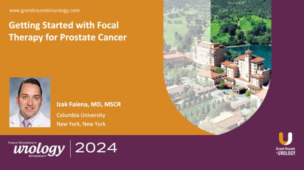 Getting Started with Focal Therapy for Prostate Cancer