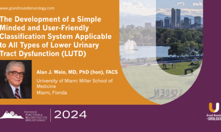 IFRUU Lectureship: Development of a Simple-Minded and User-friendly Classification System Applicable to All Types of Lower Urinary Tract Dysfunction