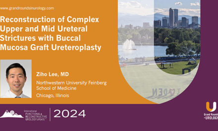 Reconstruction of Complex Upper and Mid Ureteral Strictures with Buccal Mucosa Graft Ureteroplasty