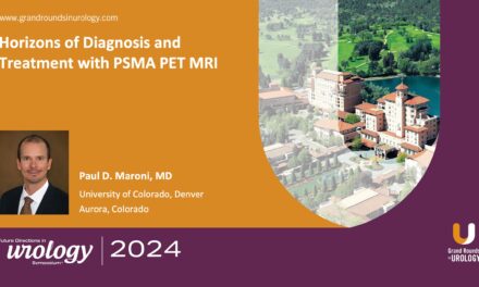 Horizons of Diagnosis and Treatment with PSMA PET MRI