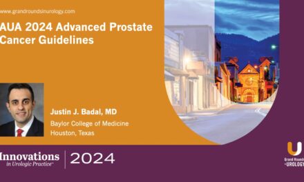 Key Principles from the 2024 AUA Guidelines Updates on Salvage Prostate Cancer Therapy