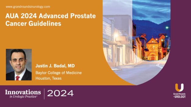 Key Principles from the 2024 AUA Guidelines Updates on Salvage Prostate Cancer Therapy