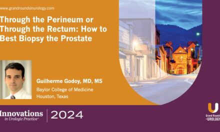 Through the Perineum or Through the Rectum: How to Best Biopsy the Prostate