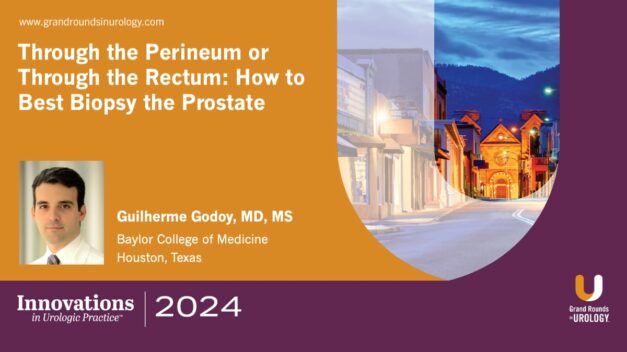 Through the Perineum or Through the Rectum: How to Best Biopsy the Prostate