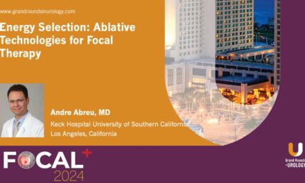 Energy Selection Ablative Technologies for Focal Therapy