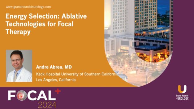 Energy Selection Ablative Technologies for Focal Therapy