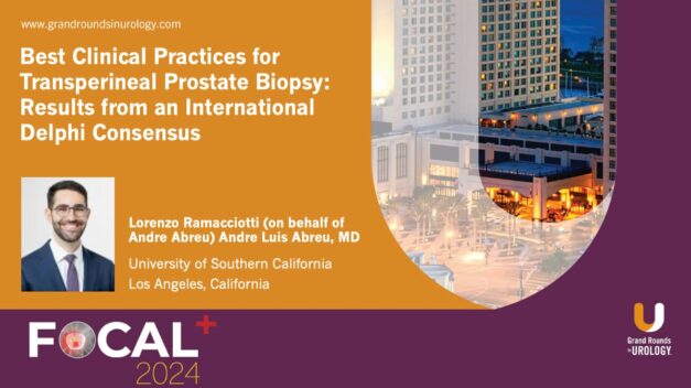 Oral Abstracts – Best Clinical Practices for Transperineal Postate Biopsy