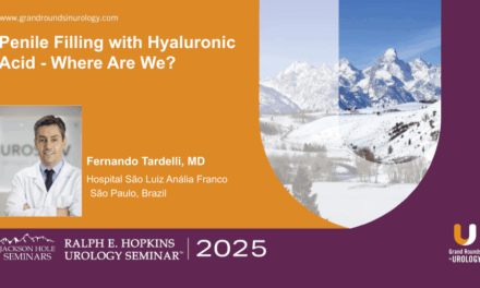 Penile Filling with Hyaluronic Acid – Where Are We?
