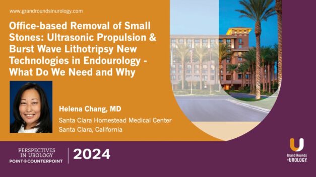 Office-Based Removal Of Small Stones Ultrasonic Propulsion & Burst Wave Lithotripsy New Technologies In Endouroloby