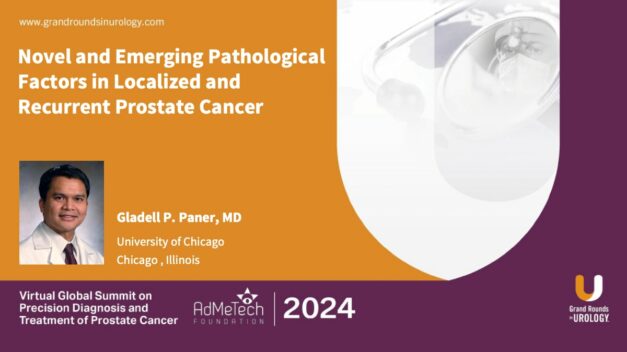 Novel and Emerging Pathological Factors in Localized and Recurrent Prostate Cancer